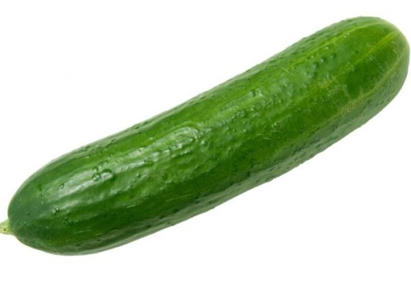 Cucumber 24ct