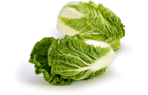 Napa Cabbage (Medium)