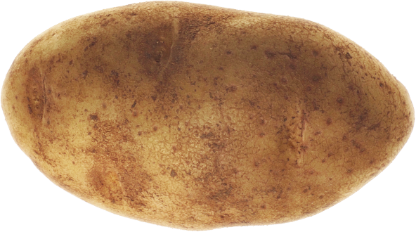 Potatoes 50#