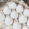 Dairy and Eggs Image