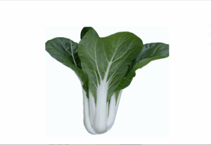 Bok Choy 35-40#