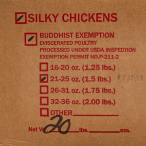 Black Chicken (Silkies) 15pcs/cs